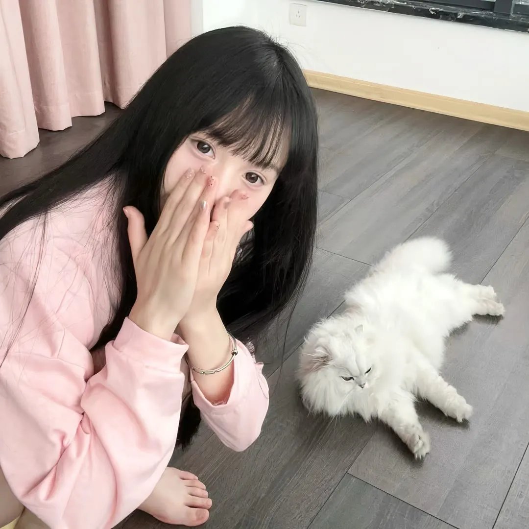 少数意见
